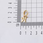 H Harfi 14 Ayar Halka Altın Küpe resmi