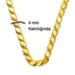 8 Ayar Altın Pul Zincir - 55cm resmi