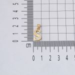 Lettera S Baş Harfli 14 Ayar Altın Kolye Ucu resmi
