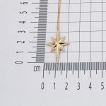 Kutup Yıldızı 14 Ayar Altın Kolye resmi