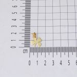 Yonca 14 Ayar Plaka Altın Kolye resmi