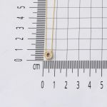 Taşlı Ö Harfli Minimal Harf Kolye Altın resmi