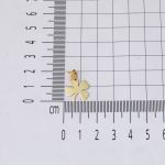 Yonca 14 Ayar Plaka Kolye Ucu resmi