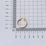 14 Ayar 2,5 cm. Çaplı Versage Halka Küpe Altın resmi