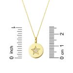 Yıldız Plaka Altın Zincirli Kolye resmi