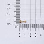 14 Ayar Altın Balık Tragus Küpe