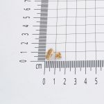 Yaşam Ağacı 14 Ayar Çivili Altın Küpe resmi