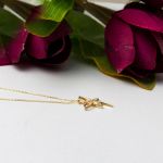 Yusufçuk Zincirli Altın Kolye resmi