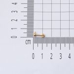 14 Ayar Altın Göz Tektaş Tragus Küpe resmi