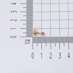 14 Ayar Altın Kaplumbağa Tragus Küpe
