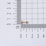14 Ayar Altın Tragus Piercing Küpe