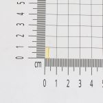 I Harfi Minimal 14 Ayar Altın Küpe